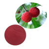 Myrica Rubra Ekstrak Bubuk Ekstrak Waxberry Bubuk Ekstrak Bayberry Merah